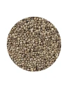 Semilla de cañamón francés DISFA 3.5 KG